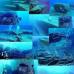 Подводный город о.Йонагуни: Япония. Подводные пирамиды йонагуни в японии Кто первым обнаружил подводные пирамиды йонагуни