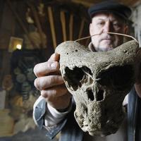 В Адыгее обнаружили загадочные черепа пришельцев и нацистский сундук с эмблемой «Аненербе» (Видео)